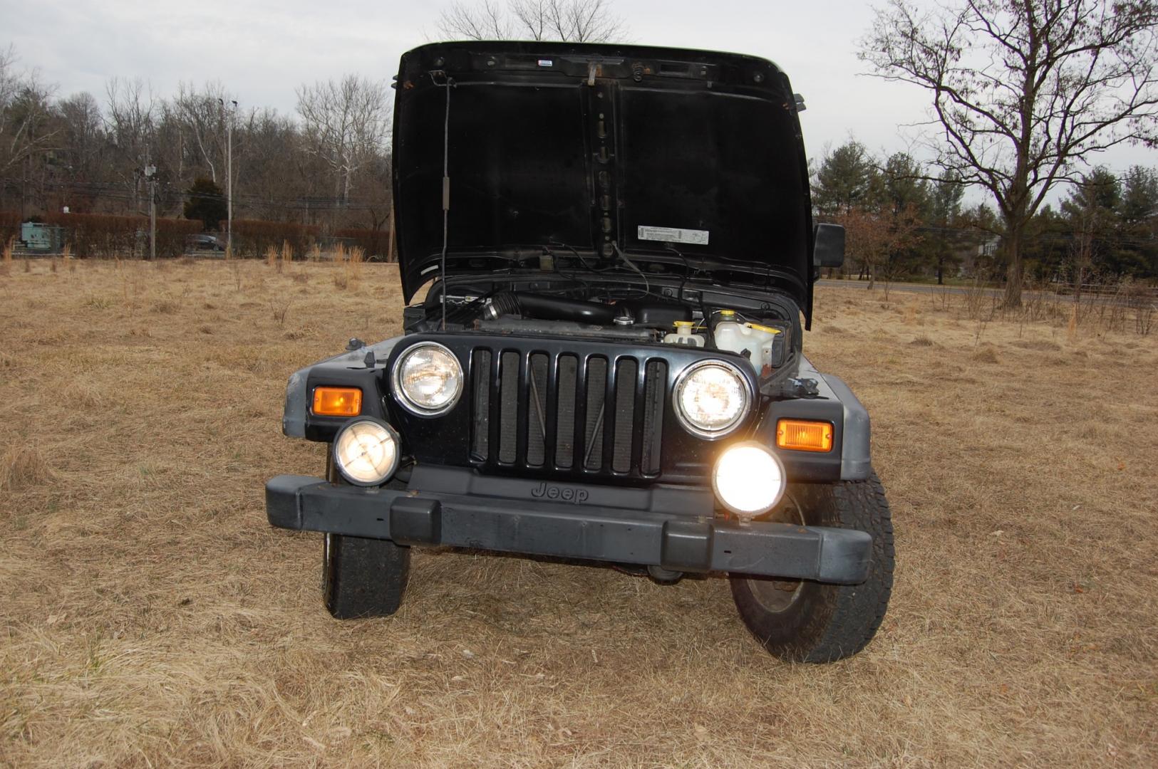 2002 Black /Black cloth Jeep Wrangler SE (1J4FA29P62P) with an 2.5 liter 4 cylinder engine, 5 speed manual transmission, located at 6528 Lower York Road, New Hope, PA, 18938, (215) 862-9555, 40.358707, -74.977882 - Here for sale is a 2002 Jeep Wrangler SE. Under the hood is a good running 2.5 liter 4 cylinder which puts power to 2 or 4 wheels via a nice shifting 5 speed manual transmission with a solid clutch. Features include; Black cloth interior, 3 keys, Air conditioning, AM/FM stereo, Alpine head unit, D - Photo#20